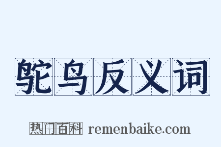 鸵鸟反义词是什么意思的图片